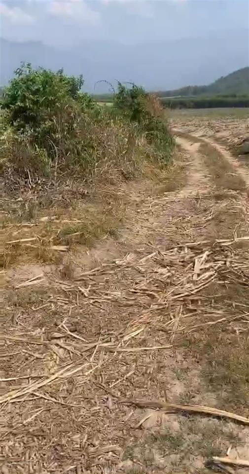 12.001 m2 đất vườn thôn nông trường, xã tây ninh hòa (ninh sim), khánh hòa