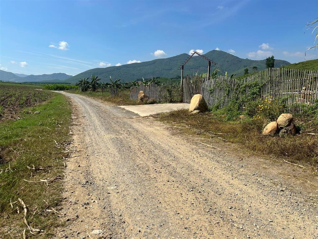Bán lô đất 5.210m2 tại thôn tân bình, xã ninh bình, thị xã ninh hòa
