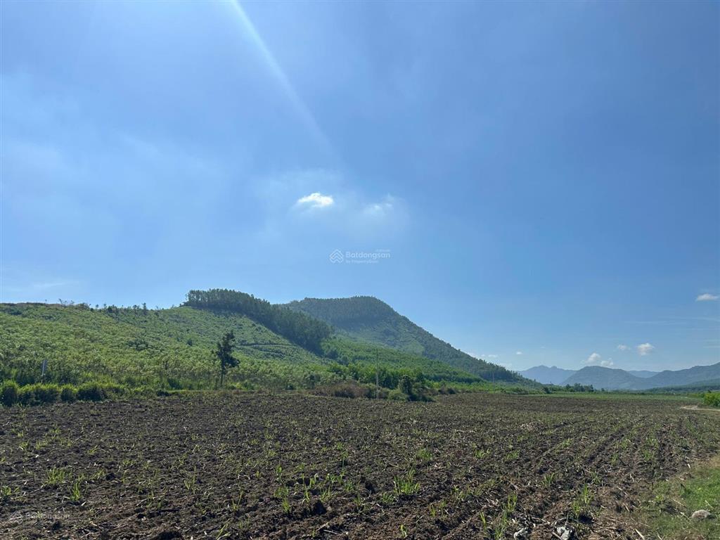Bán lô đất 5.210m2 tại thôn tân bình, xã ninh bình, thị xã ninh hòa