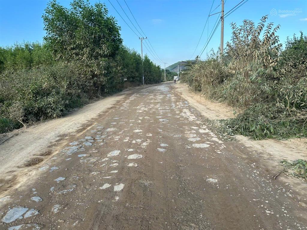 Bán đất có thổ cư xã ninh tây gần công an xã ninh tây dt 4.000m2