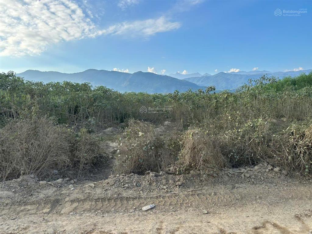 Bán đất có thổ cư xã ninh tây gần công an xã ninh tây dt 4.000m2