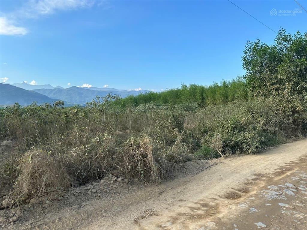 Bán đất có thổ cư xã ninh tây gần công an xã ninh tây dt 4.000m2