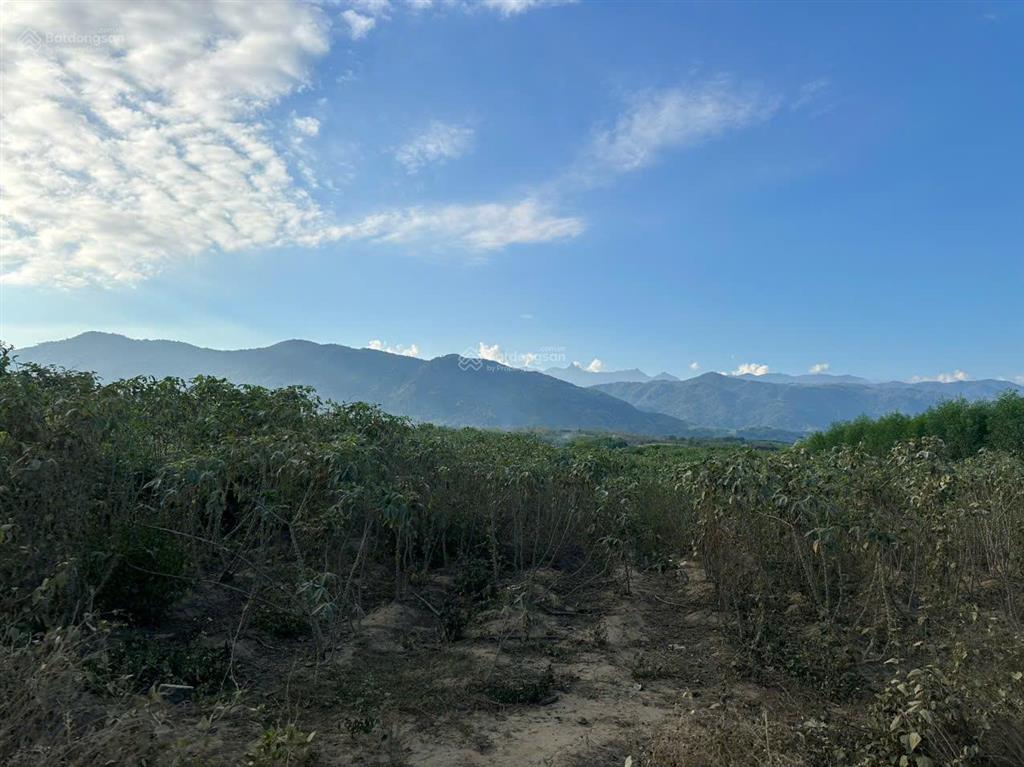 Bán đất có thổ cư xã ninh tây gần công an xã ninh tây dt 4.000m2
