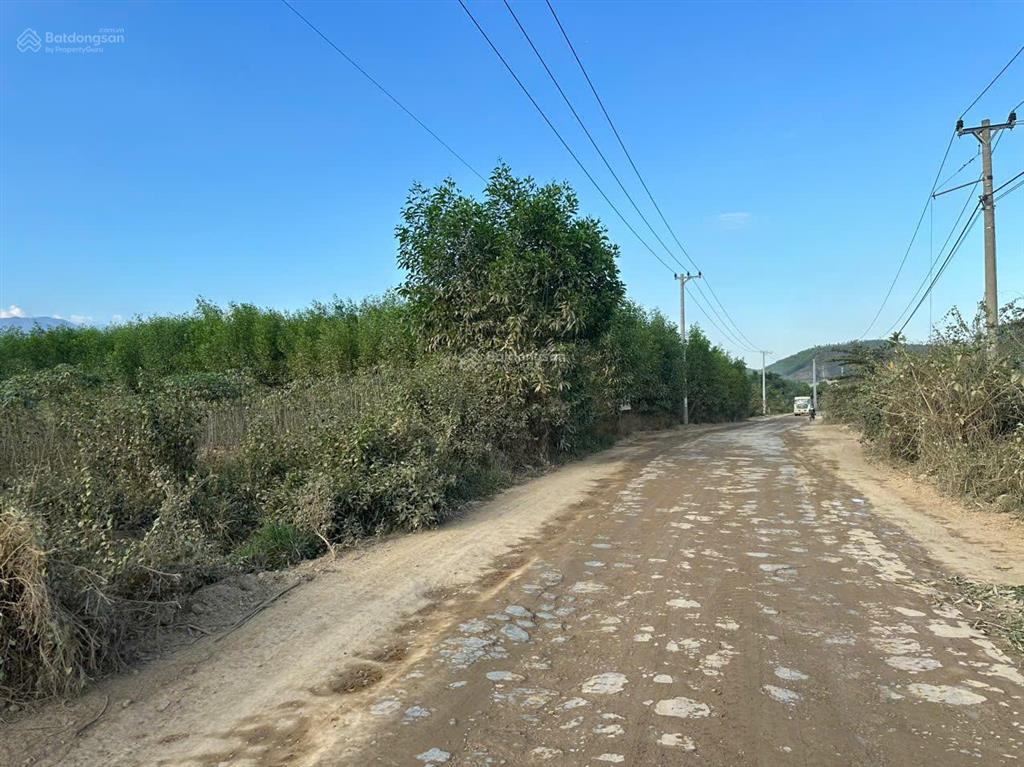 Bán đất có thổ cư xã ninh tây gần công an xã ninh tây dt 4.000m2