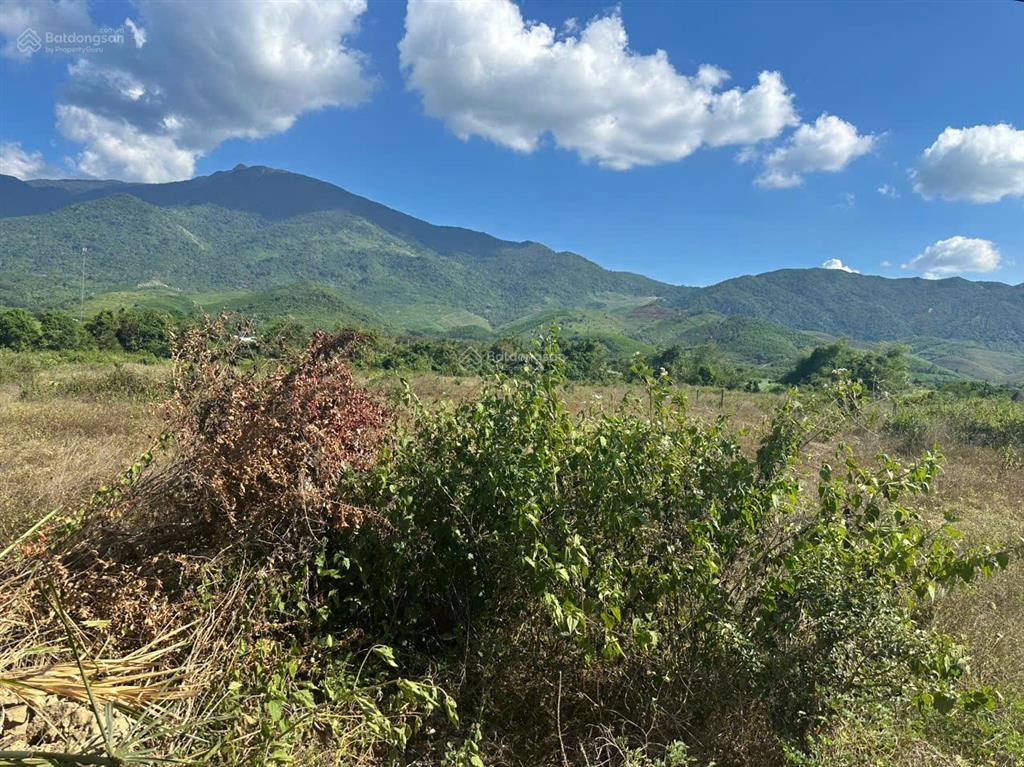 Bán lô đất thổ cư xã ninh tân, thị xã ninh hòa, tỉnh khánh hòa