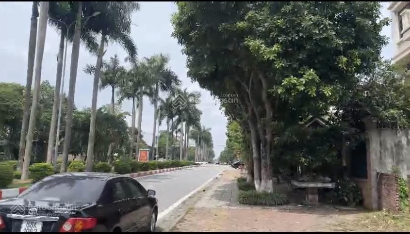 Bán ô đất biệt thự siêu vip tại đường quang trung  việt trì  phú thọ sẵn sổ đỏ. l/h 0977 040 ***