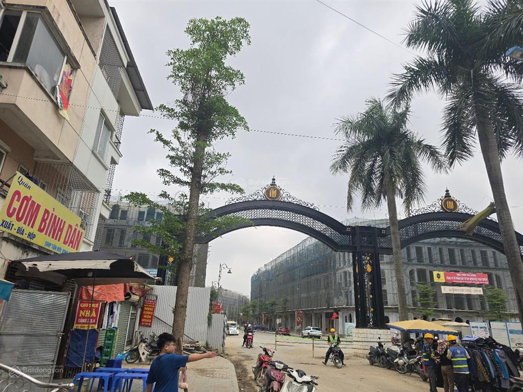 Cho thuê nhà liền kề 237 tân tây đô, diện tích 80m2. thuận tiện kinh doanh