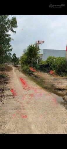 Tôi là chủ đất cần bán 1000m2 đất vườn gần chợ và ubnd xã thạnh lợi