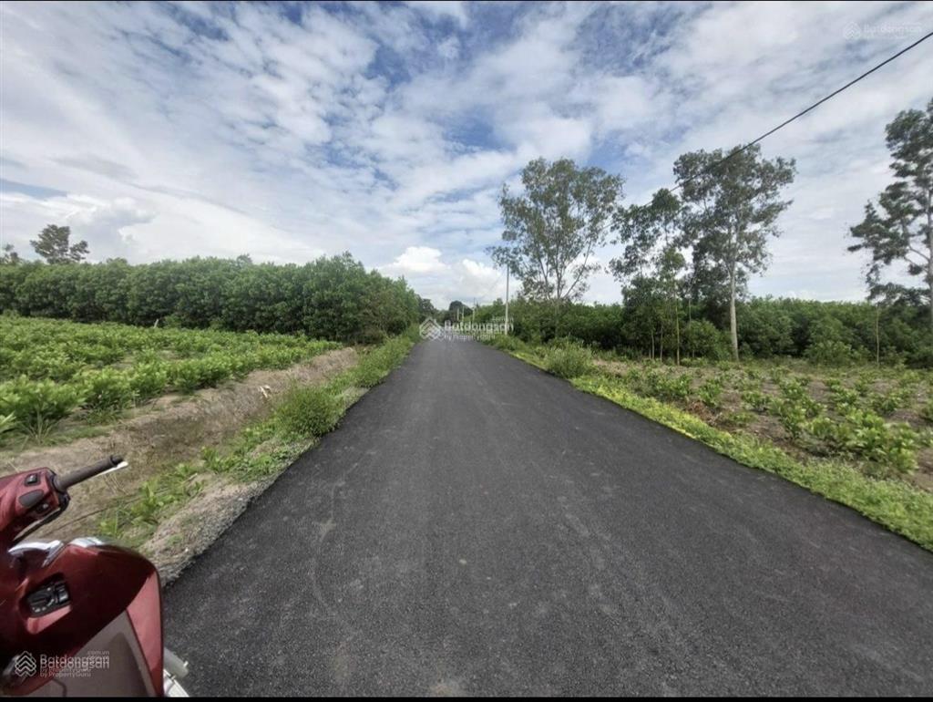 Bán đất ở hòa hiệp, 5 tỷ, 15000 m2, mặt tiền 75m