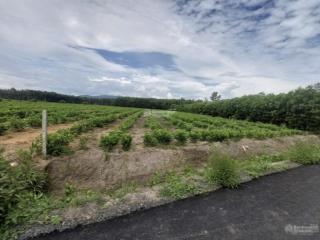 Bán đất ở hòa hiệp, 5 tỷ, 15000 m2, mặt tiền 75m