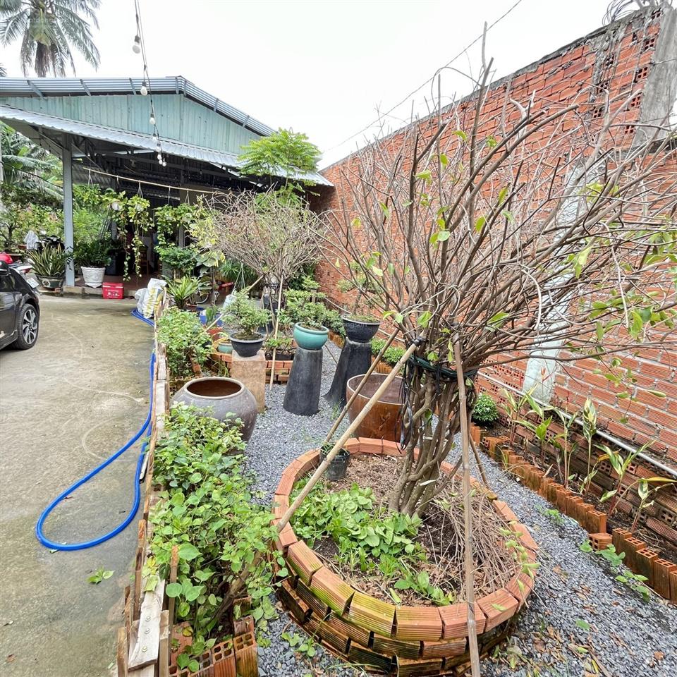 Bán đất vườn cây ăn trái gần chợ an sơn phường thuận an bình dương.