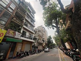 Bán nhà mặt phố phó đức chính ba đình view hồ, vỉa hè lô góc kd sầm uất xây cao tầng thoải mái 95m2