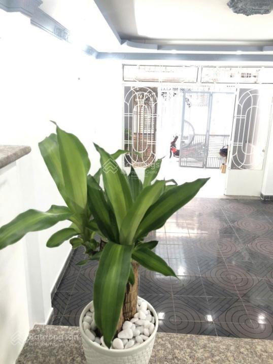 Cho thuê nhà nguyên căn hẻm 258 vườn lài, p. phú thọ hòa, q. tân phú