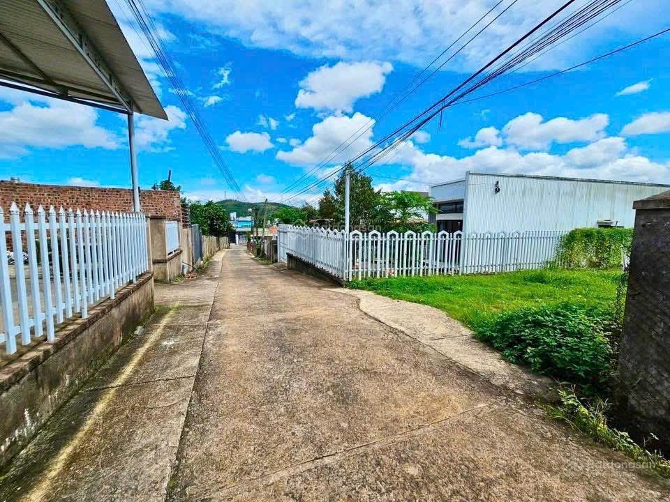 Bán nhanh lô nền 250m2 sổ sẵn chính chủ