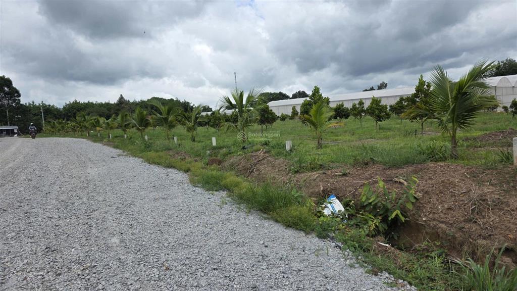 Chính chủ cần bán 250m2 sát chợ