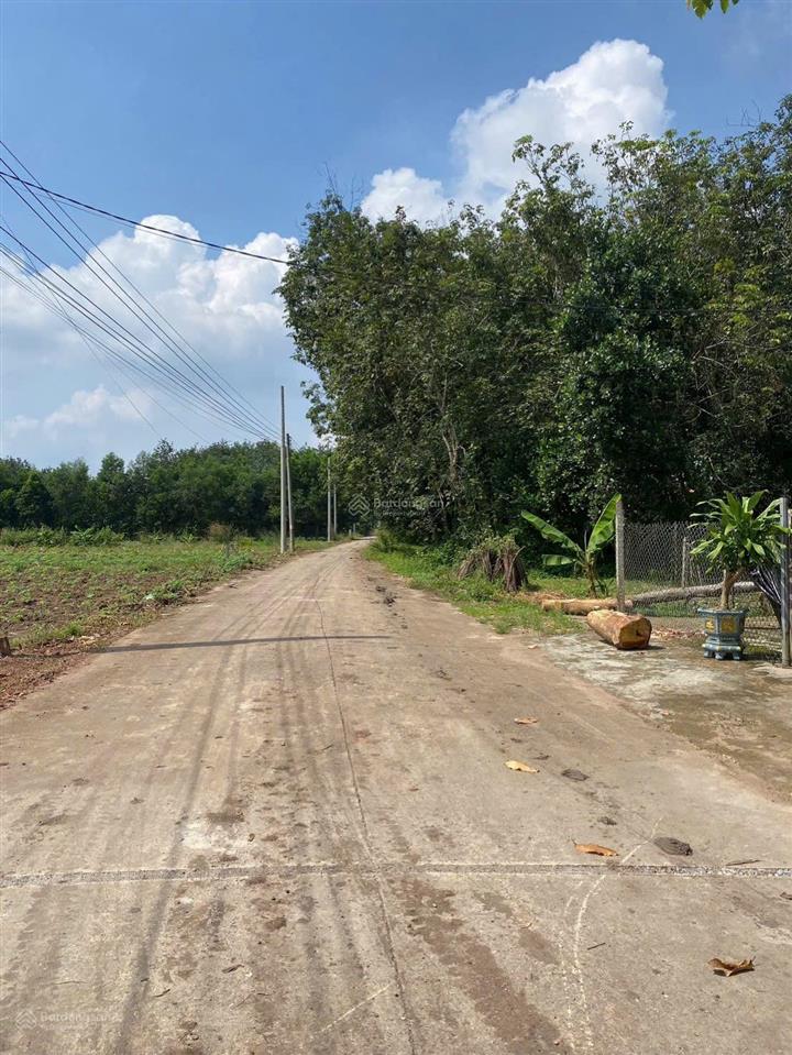 Chính chủ cần bán gấp 500m2 sát chợ