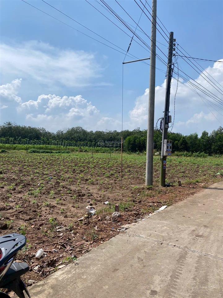 Chính chủ cần bán gấp 500m2 sát chợ