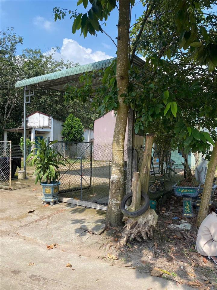 Chính chủ cần bán gấp 500m2 sát chợ