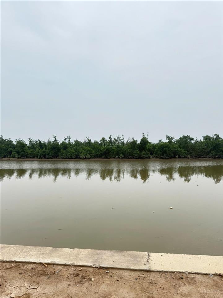 Căn biệt thự view sông đẹp tại vinhomes royal island giá tốt