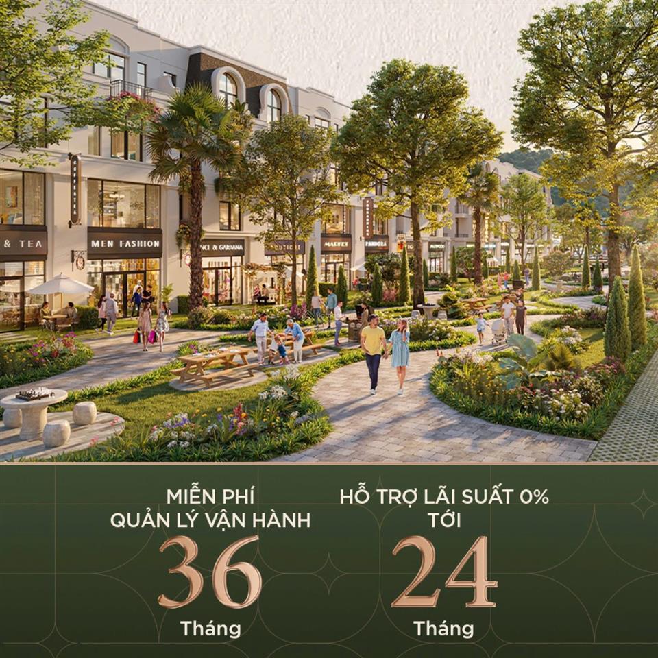 Bán biệt thự 62,5m2 tại vlasta thủy nguyên, 4,4 tỷ vnd
