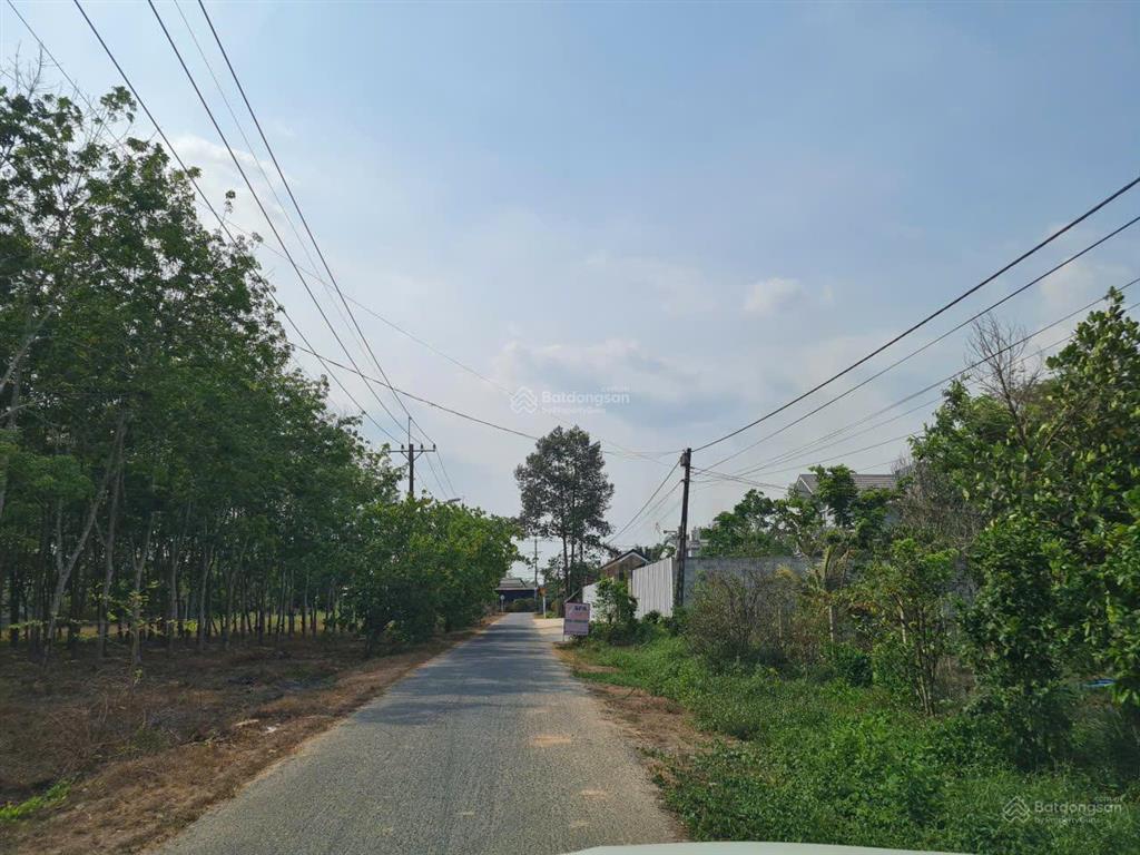 Tin sốc bán bằng mọi giá lô đất mặt tiền đường phú thuận, xã an nhơn tây, tp.hcm