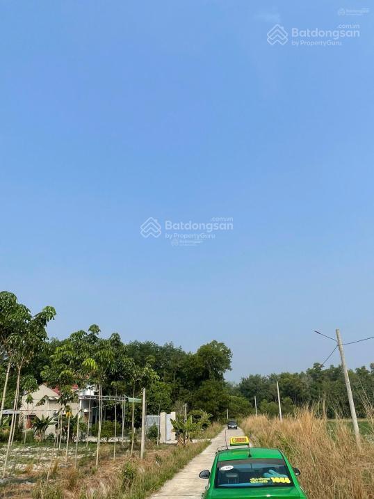 Bán đất nông nghiệp tại mtđ điện biên phủ (r#12m) thuộc trung tâm tt lạc tánh, tánh linh,lâm đồng