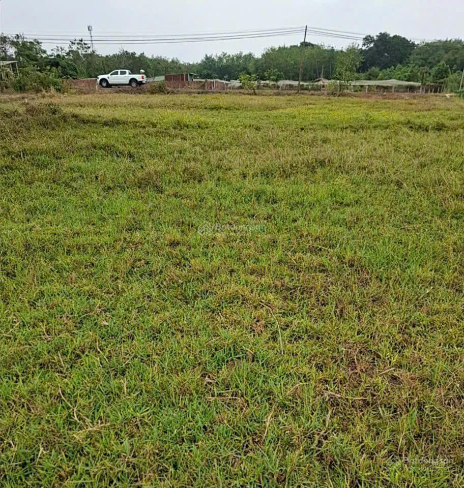 Bán đất nông nghiệp tại mtđ điện biên phủ (r#12m) thuộc trung tâm tt lạc tánh, tánh linh,lâm đồng