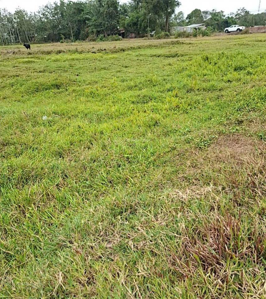 Bán đất nông nghiệp tại mtđ điện biên phủ (r#12m) thuộc trung tâm tt lạc tánh, tánh linh,lâm đồng