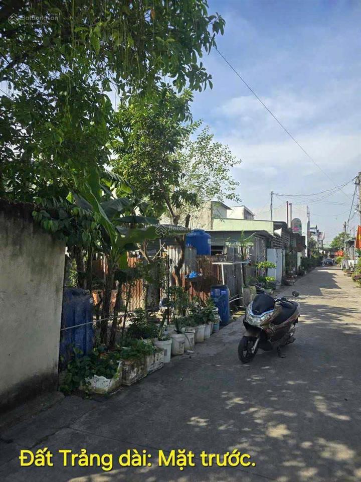 Cho thuê đất 2 mặt tiền ngang 15m siêu hiếm tại trảng dài, đồng nai
