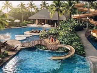 680 triệu sở hữu palm river  đón đầu giá trị từ hạ tầng đến tầm nhìn