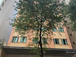 Ngợp bank ! bán khách sạn mặt tiền thủ khoa huân phường bến thành ,dt10x2010 tầnggiá 170 tỷ