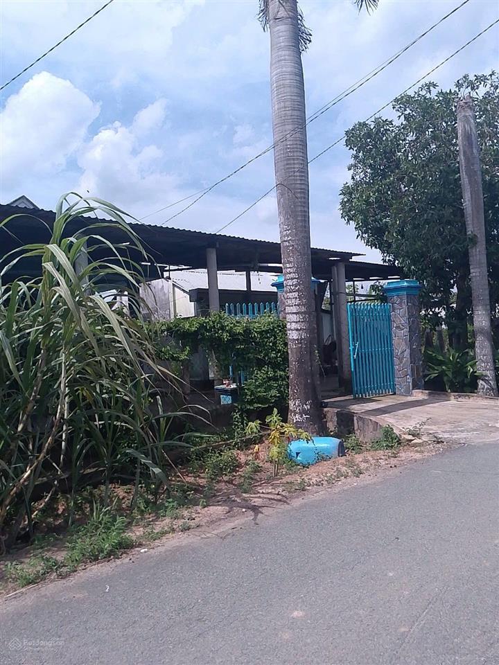 Ông chú bảy kẹt tiền bán gấp lô đất vị trí đẹp