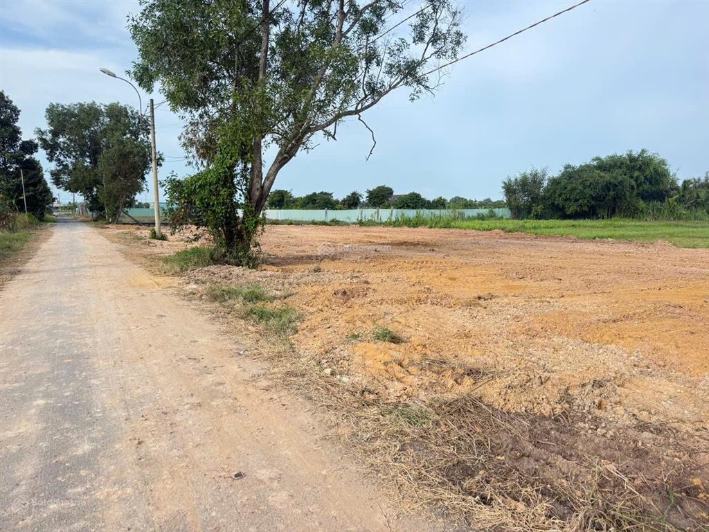 Đất vườn siêu hót, giá bất ngờ, rẻ tại khu vực