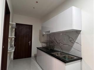 Cho thuê cc mini tại sunrise riverside, 9 triệu, 30m2, 1wc, hướng bắc, nam ban công