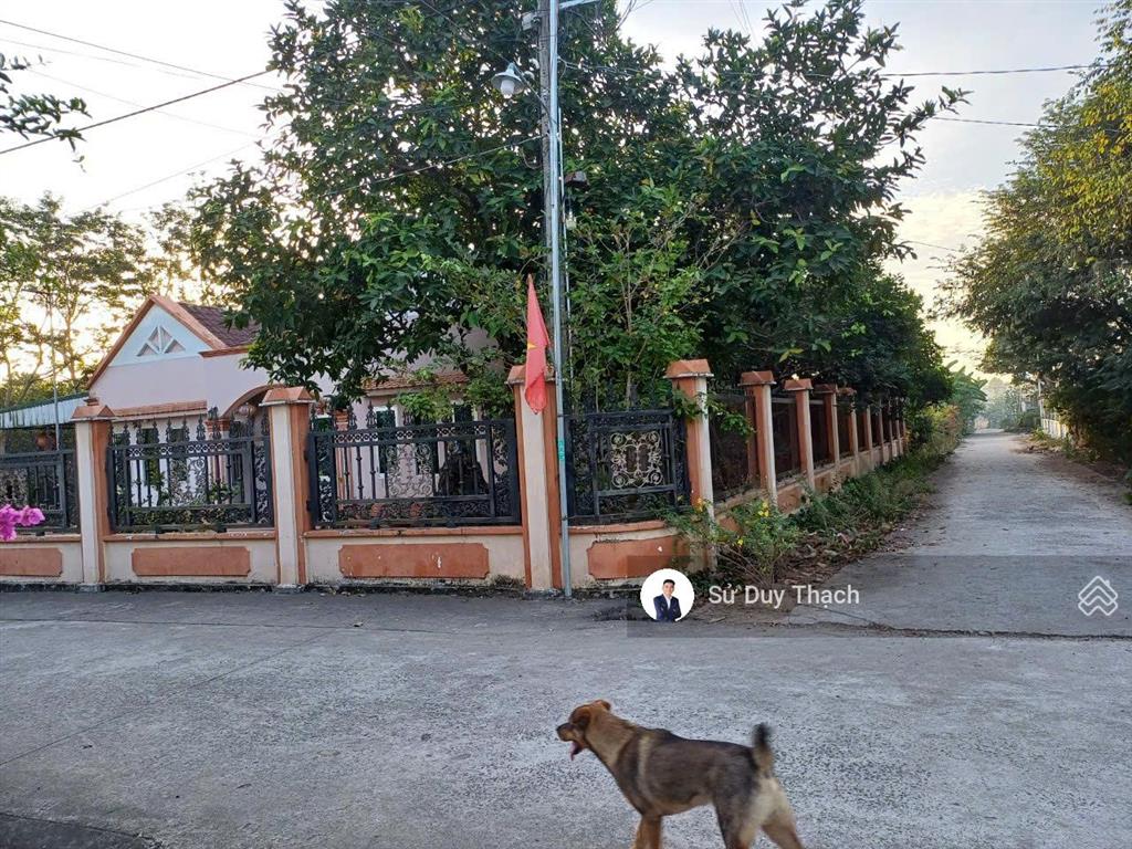 Bán nhanh giãm sâu 2 tỷ lô đất 2 mặt tiền, tặng kèm nhà biệt thự mái thái! đất sân bay long thành