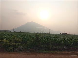 Cần sang lại lô đất 1005m2 từ 790 vào dân đông, nhiều vườn ăn trái mát mẻ 389tr sổ riêng cc ngay