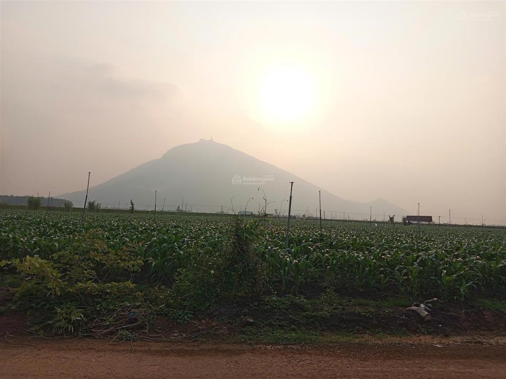 Tôi cần sang lại miếng đất vườn 1065m2, sổ hồng riêng công chứng ngay giá 399triệu bao giấy tờ