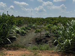 Tôi cần sang lại miếng đất vườn 1065m2 sổ hồng riêng công chứng ngay giá 399triệu bao giấy tờ