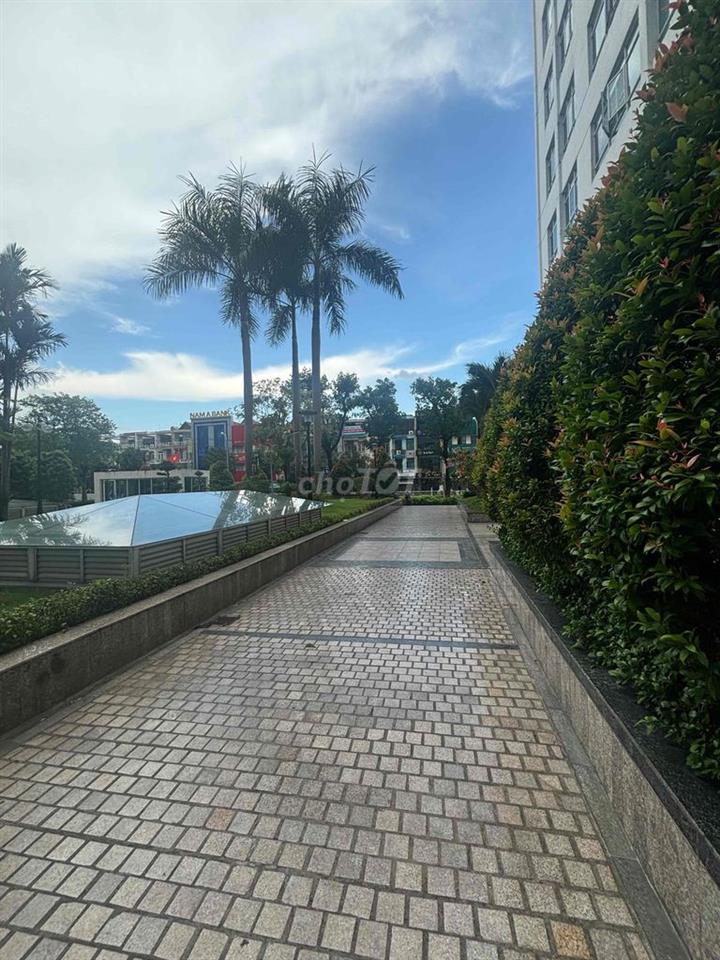 Bán căn hộ Giai Việt Q8 115m2 2PN view hồ bơi 5ty5