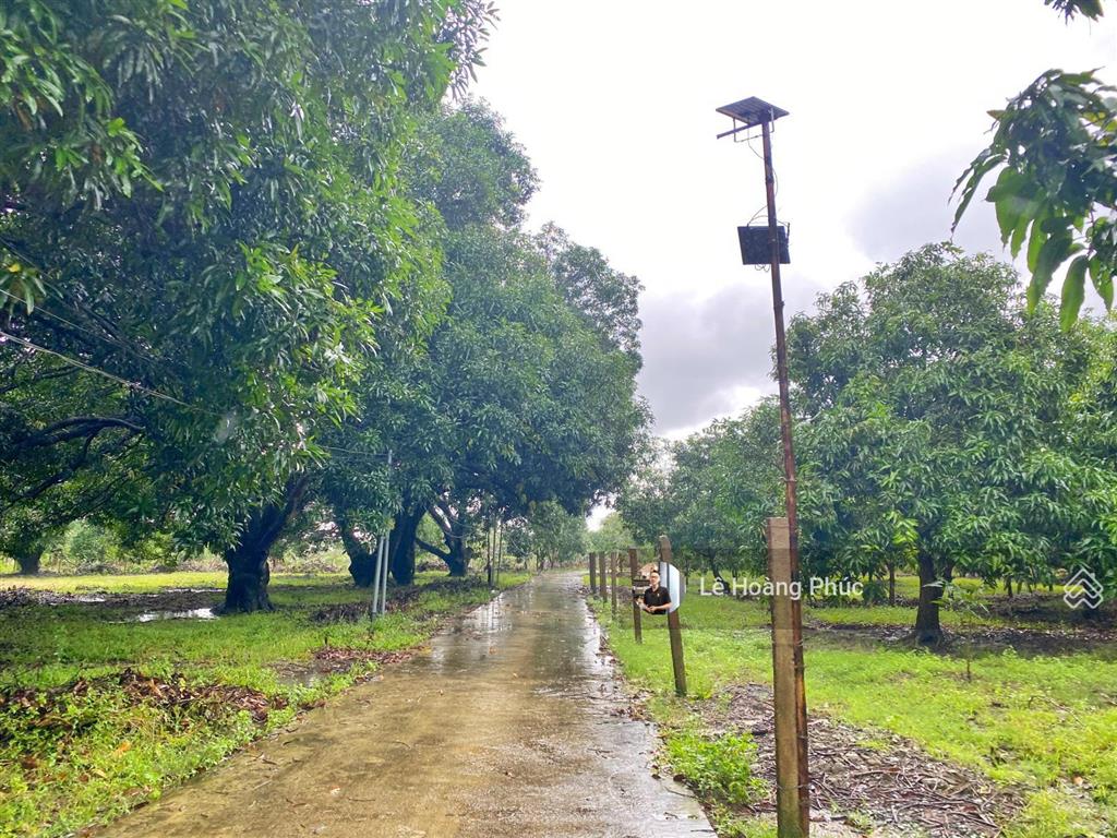 Bán đất full thổ cư  khu an toàn suối tân  gần ql1a, kcn suối dầu giá rẻ