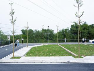 Siêu phẩm đất đồng trạng hoà lạc giá chỉ nhỉnh 3 tỷ sở hữu ngay lô đất view hồ cực đẹp
