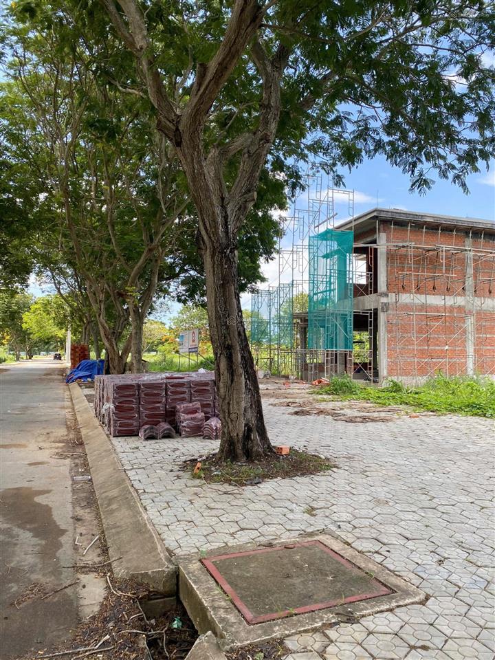 Chủ cần tiền bán ngay lô đất 100m2 (5x20) mặt tiền đường trung tâm giồng ao  giá 30 triệu/m2  shr