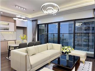 Chính chủ cần bán căn hộ 70m, 2 ngủ chung cư home city, full nội thất, giá 8 tỷ