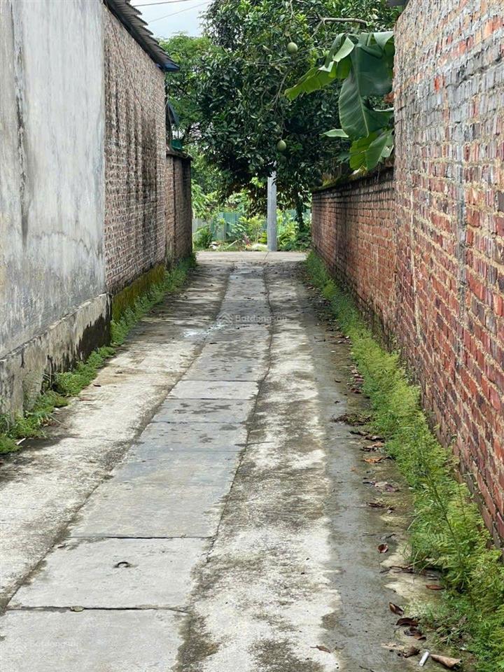 Chính chủ muốn bán lô góc 2 mặt tiền 86 m² cách thị trấn sóc sơn và trường đua ngựa 2 km.