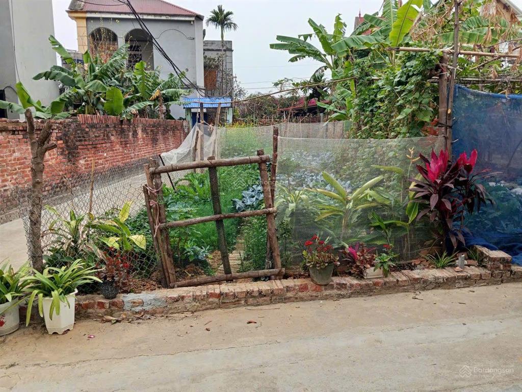 Chính chủ muốn bán lô góc 2 mặt tiền 86 m² cách thị trấn sóc sơn và trường đua ngựa 2 km.