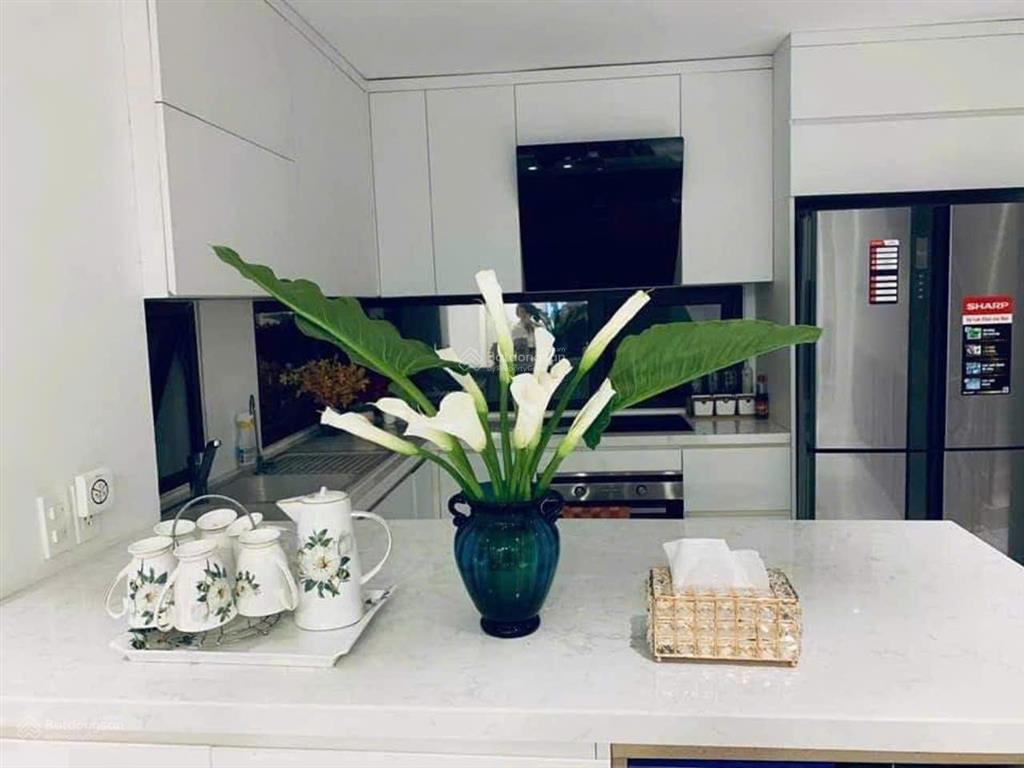 Bán nhà võng thị tây hồ 5 tầng thang máy ô tô tránh gần hồ tây mt 5.3m 20.5 tỷ