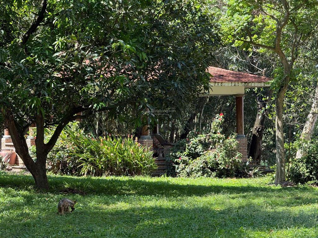 Chỉ 1 triệu/m2 mua biệt thự vườn resort view hồ trị an, đồng nai. 200x225m tổng 4,5ha. giá 50 tỷ tl