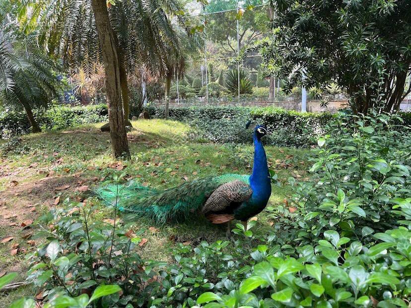 Bán nhà vị trí đẹp nguyễn bỉnh khiêm p đa kao quận 1 . hẻm ô tô . 170 m2 , ngang 12.88m 5 tầng 39tỷ