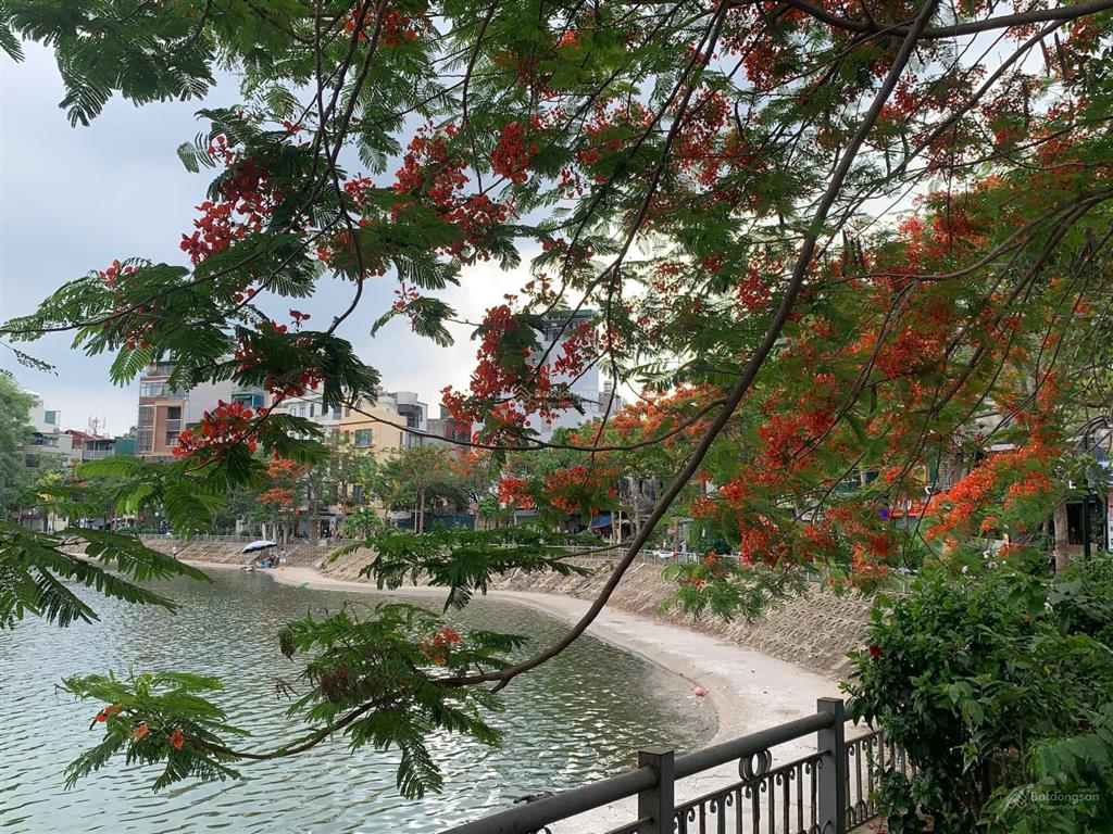 Bán nhà 2 mặt thoáng view hồ linh quang, dt44m2, 6 tầng, có thang máy, kinh doanh đỉnh, giá 25 tỷ.
