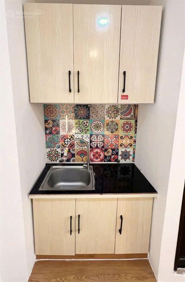 Cho thuê cc mini 30m2, 1pn, 1wc, 5 triệu vnd tại trần hưng đạo, p9, q5, hcm